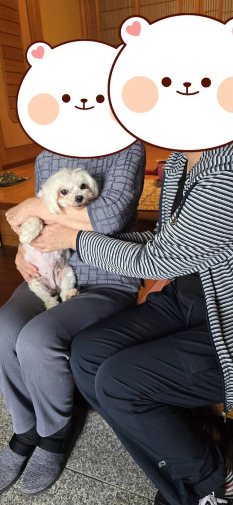 こちらの保護犬は里親様が決まりました