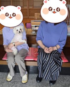 こちらの保護犬は里親様が決まりました