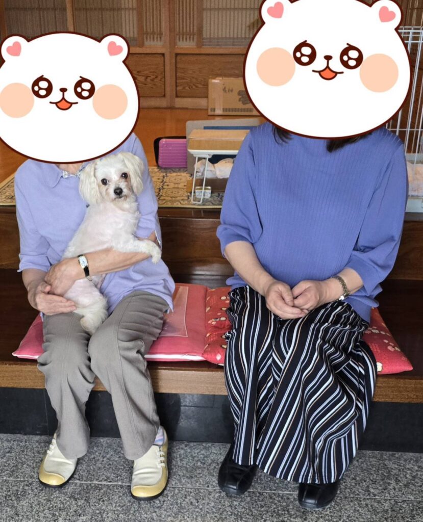 こちらの保護犬は里親様が決まりました