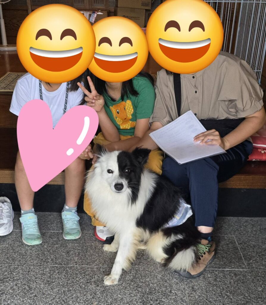 こちらの保護犬は里親様が決まりました