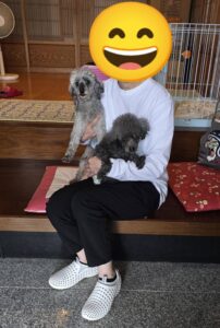 こちらの保護犬は里親様が決まりました