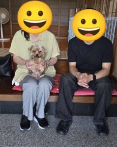 こちらの保護犬は里親様が決まりました