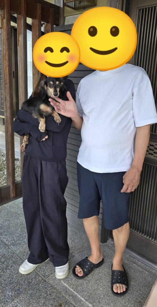 こちらの保護犬は里親様が決まりました