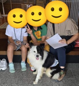 こちらの保護犬は里親様が決まりました