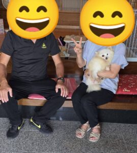 こちらの保護犬は里親様が決まりました