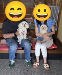 こちらの保護犬は里親様が決まりました