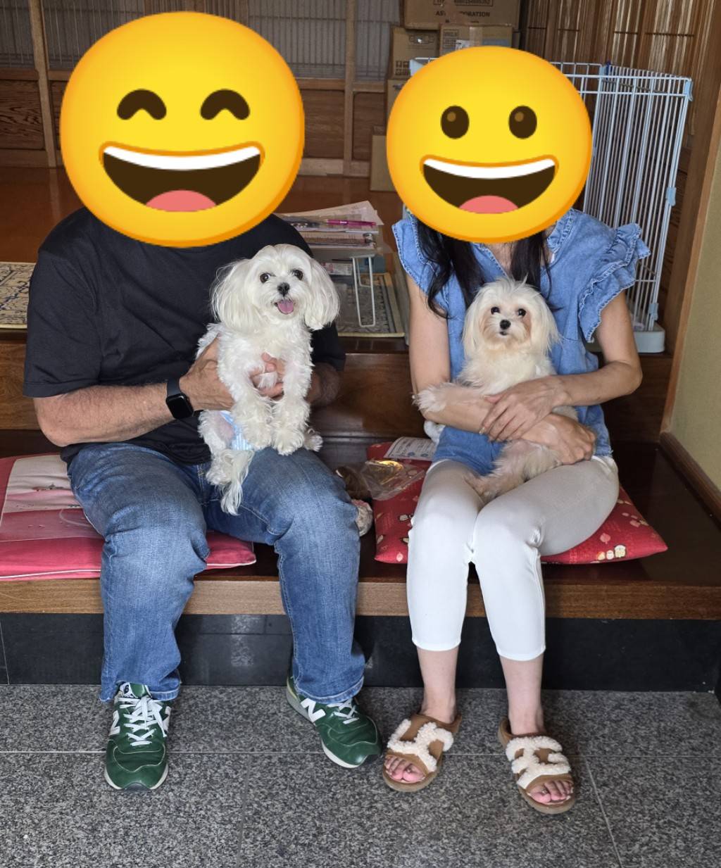 こちらの保護犬は里親様が決まりました