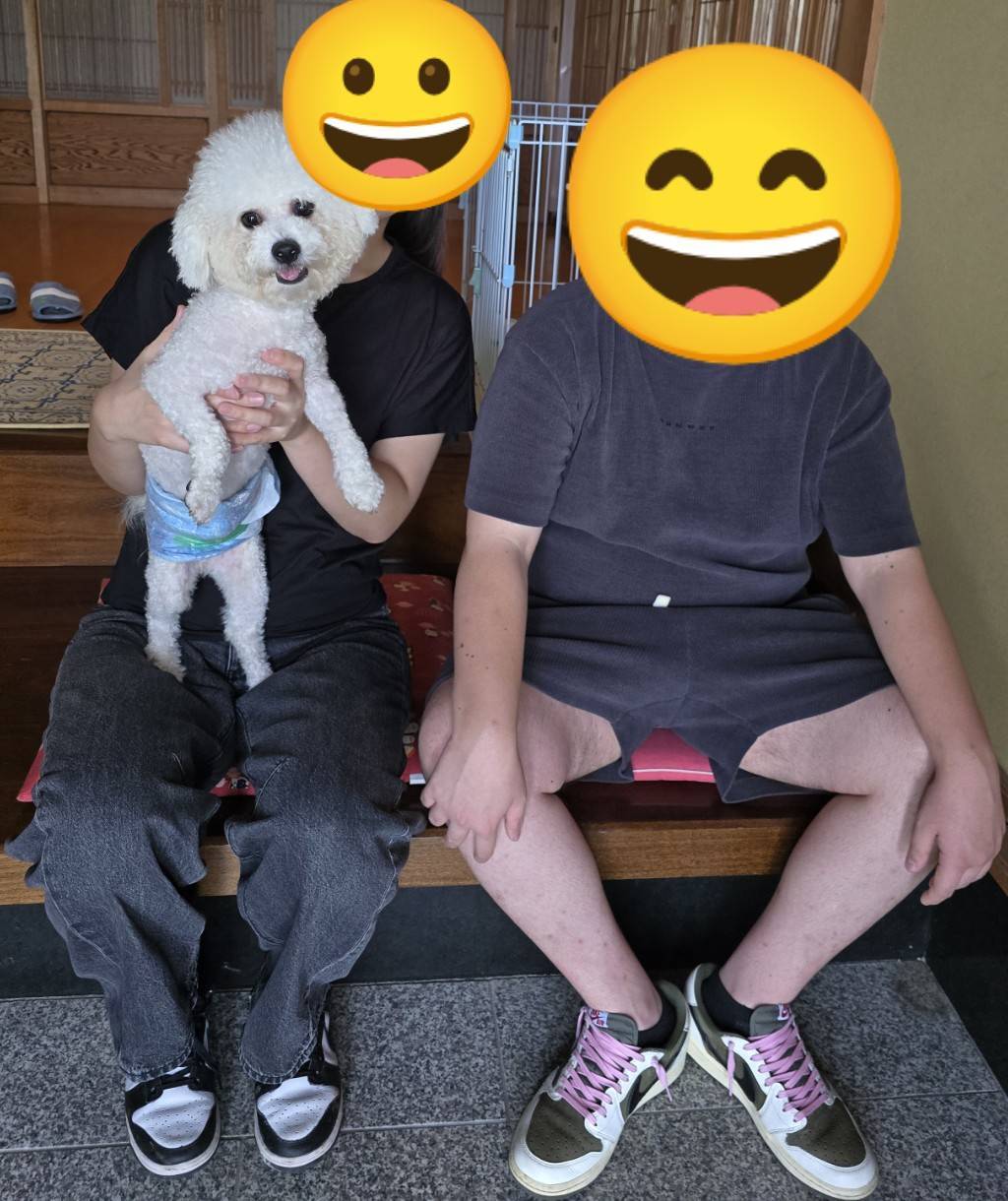 こちらの保護犬は里親様が決まりました