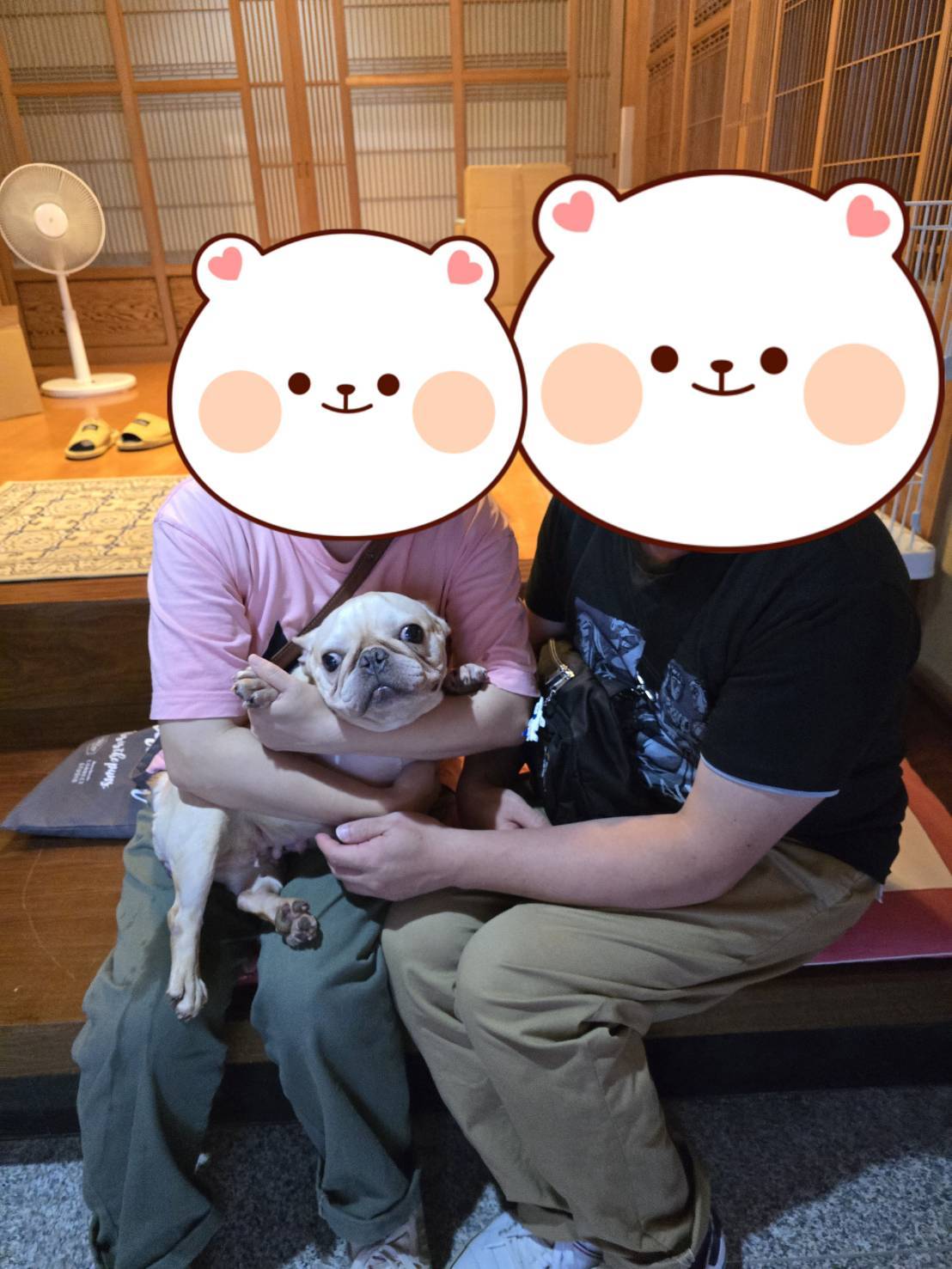 こちらの保護犬は里親様が決まりました