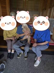 こちらの保護犬は里親様が決まりました