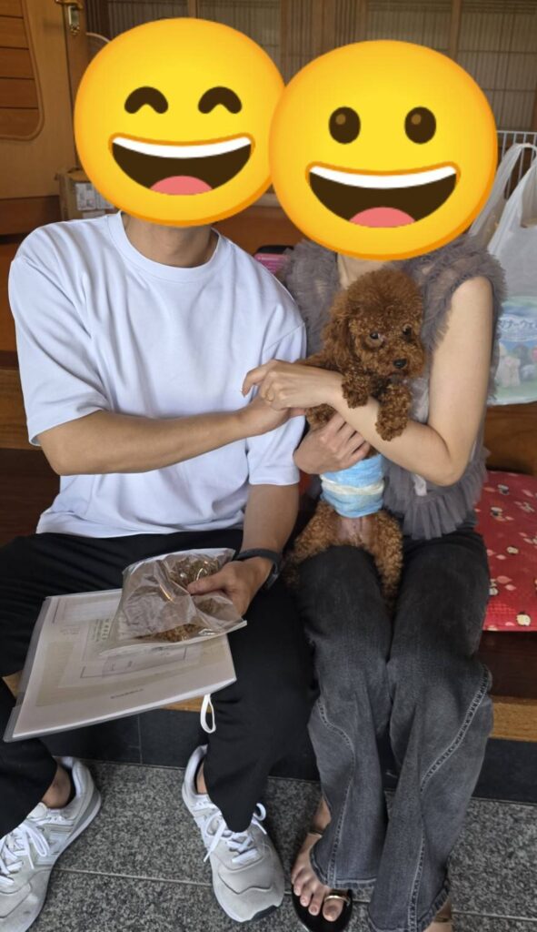 こちらの保護犬は里親様が決まりました