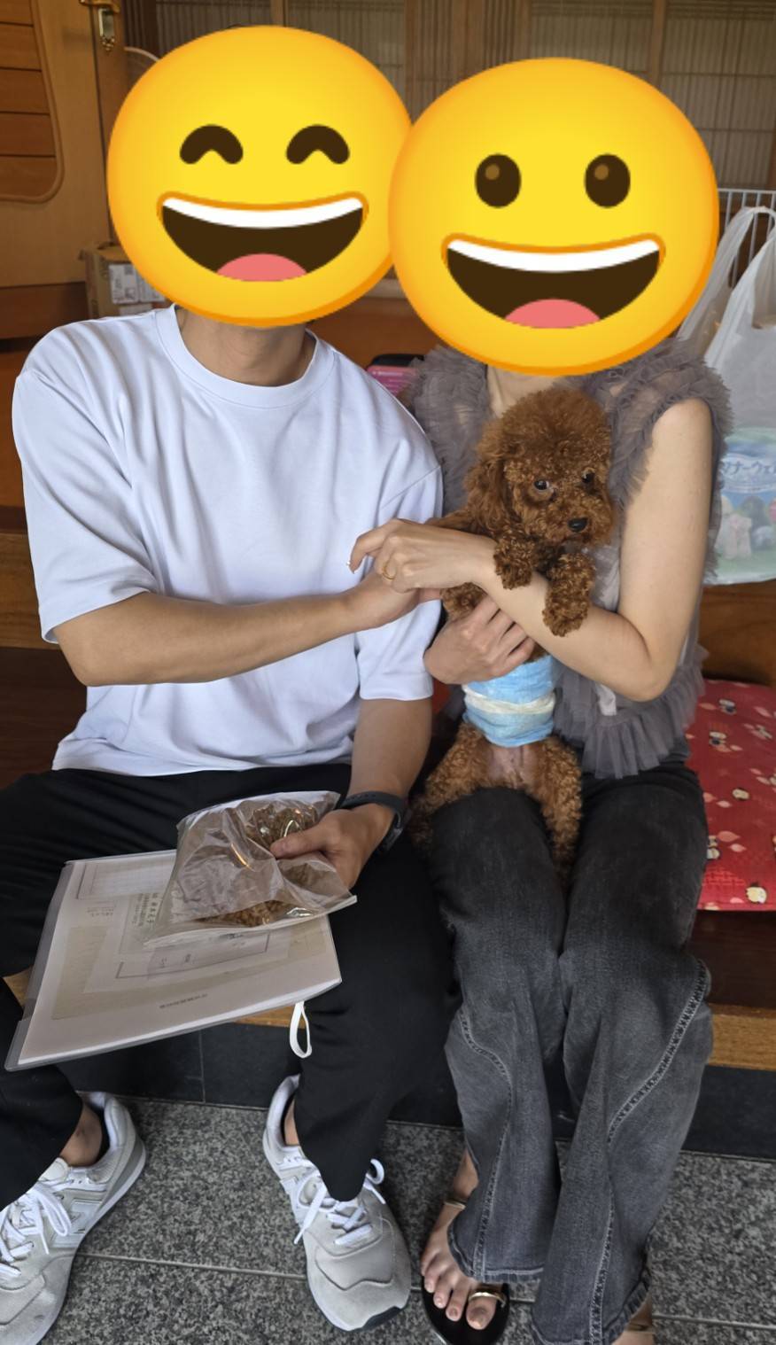 こちらの保護犬は里親様が決まりました