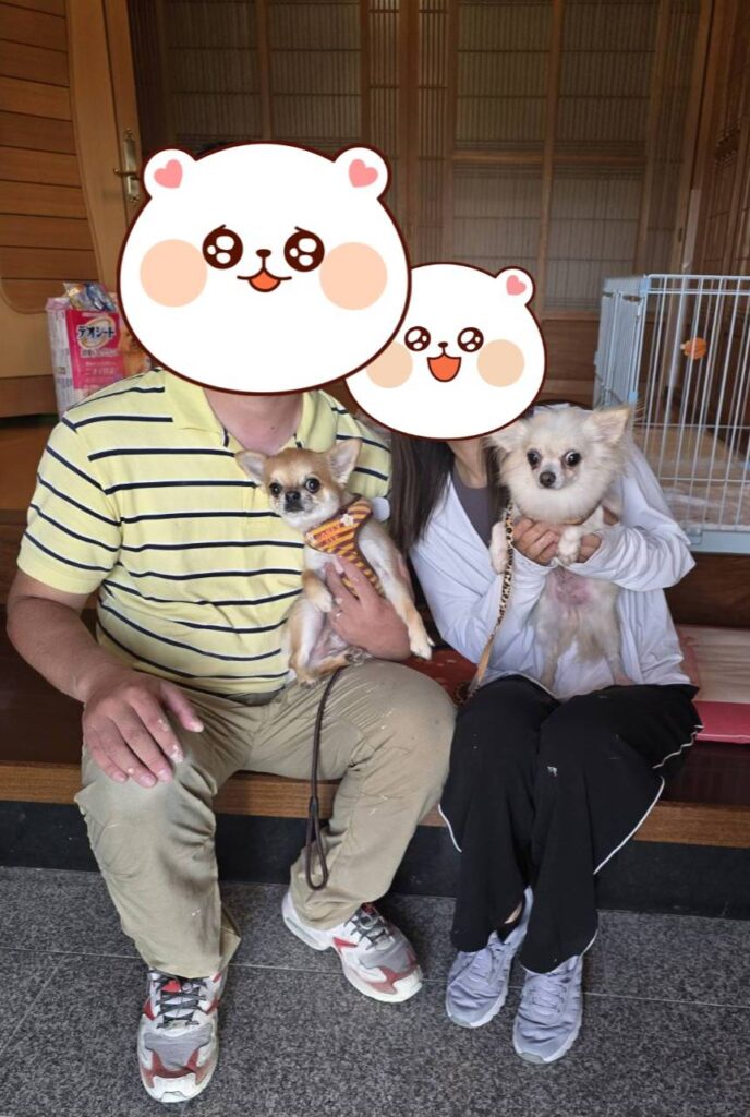 こちらの保護犬は里親様が決まりました