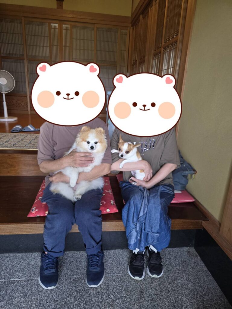 こちらの保護犬は里親様が決まりました