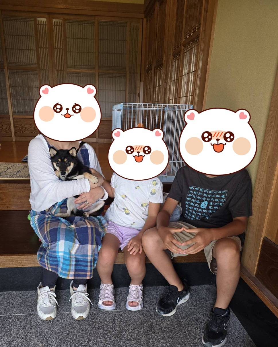 こちらの保護犬は里親様が決まりました