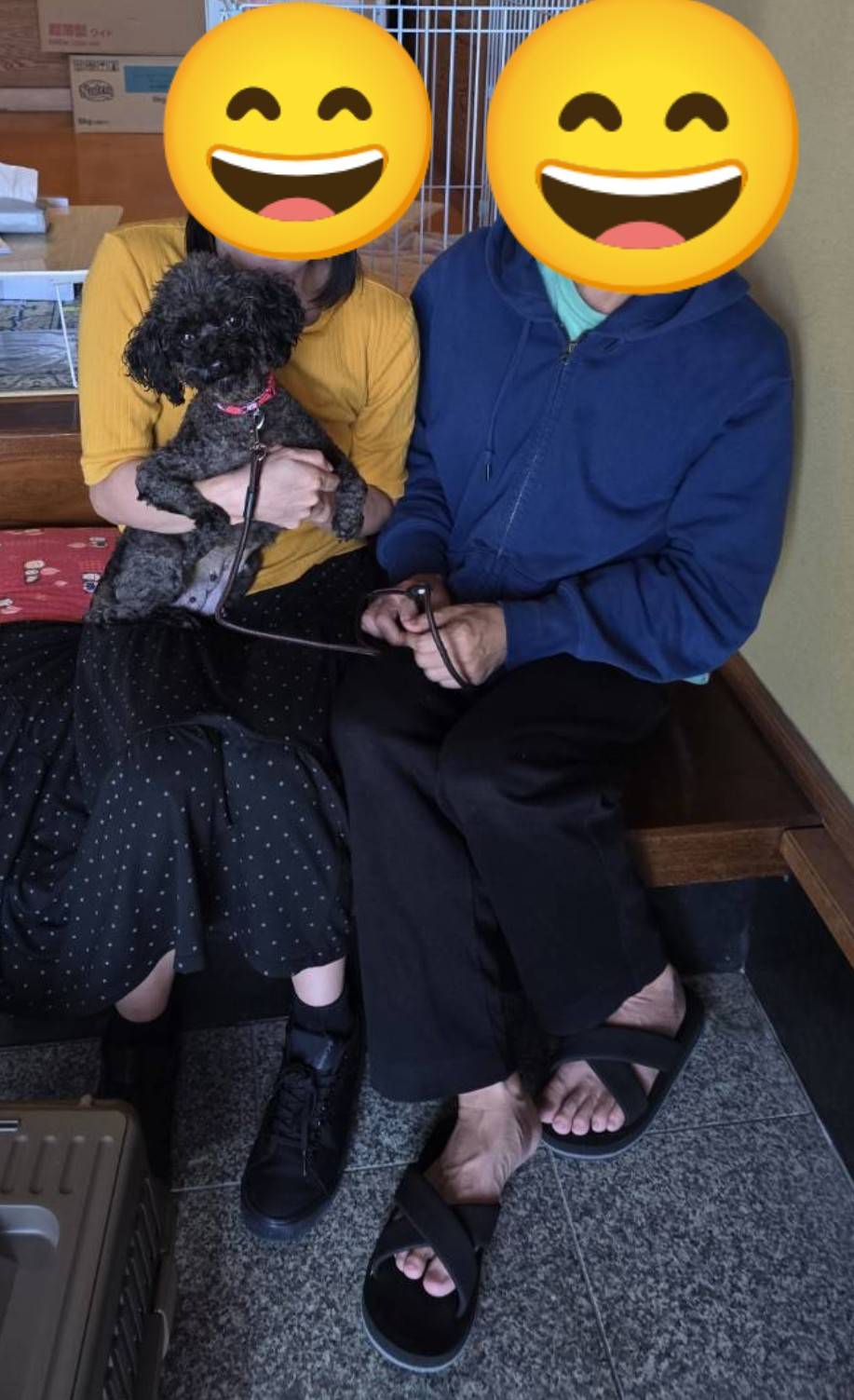 こちらの保護犬は里親様が決まりました