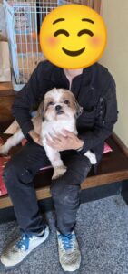 こちらの保護犬は里親様が決まりました