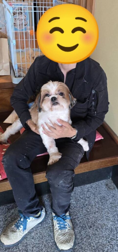 こちらの保護犬は里親様が決まりました