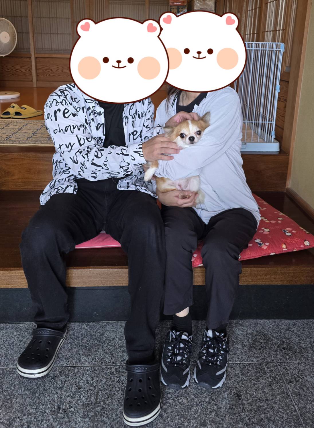 こちらの保護犬は里親様が決まりました