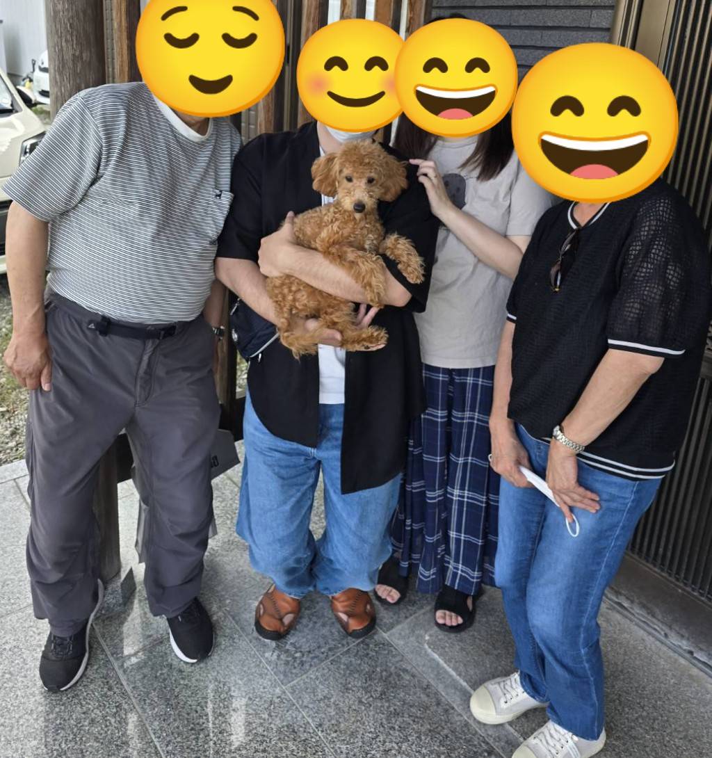 こちらの保護犬は里親様が決まりました