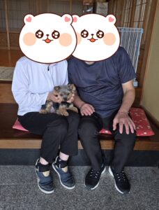 こちらの保護犬は里親様が決まりました