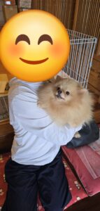 こちらの保護犬は里親様が決まりました