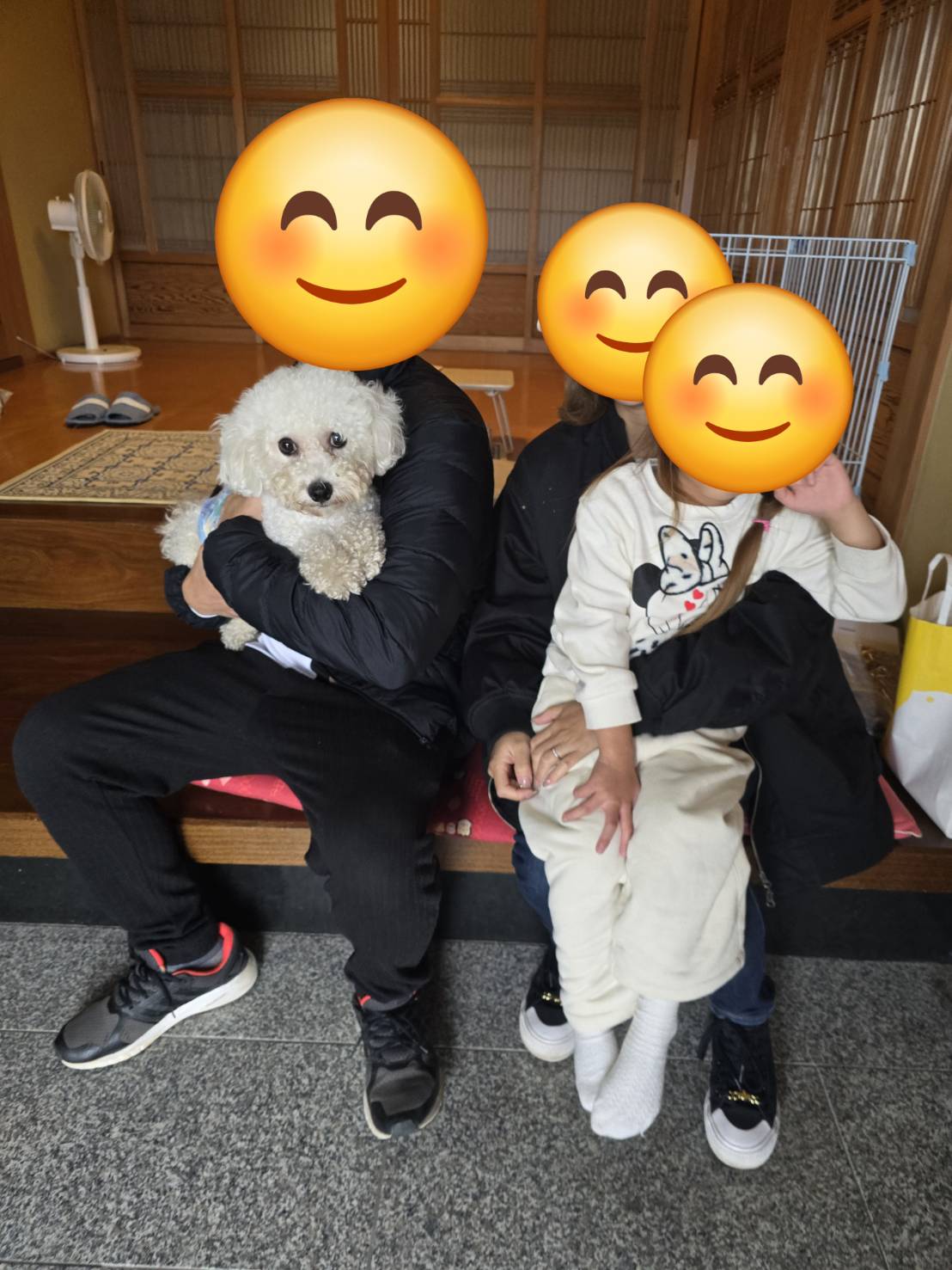 こちらの保護犬は里親様が決まりました