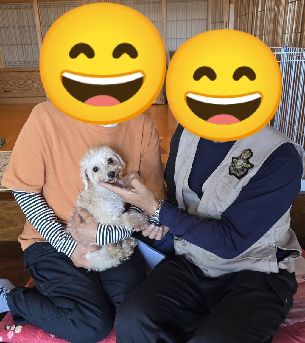 こちらの保護犬は里親様が決まりました