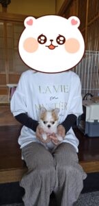 こちらの保護犬は里親様が決まりました