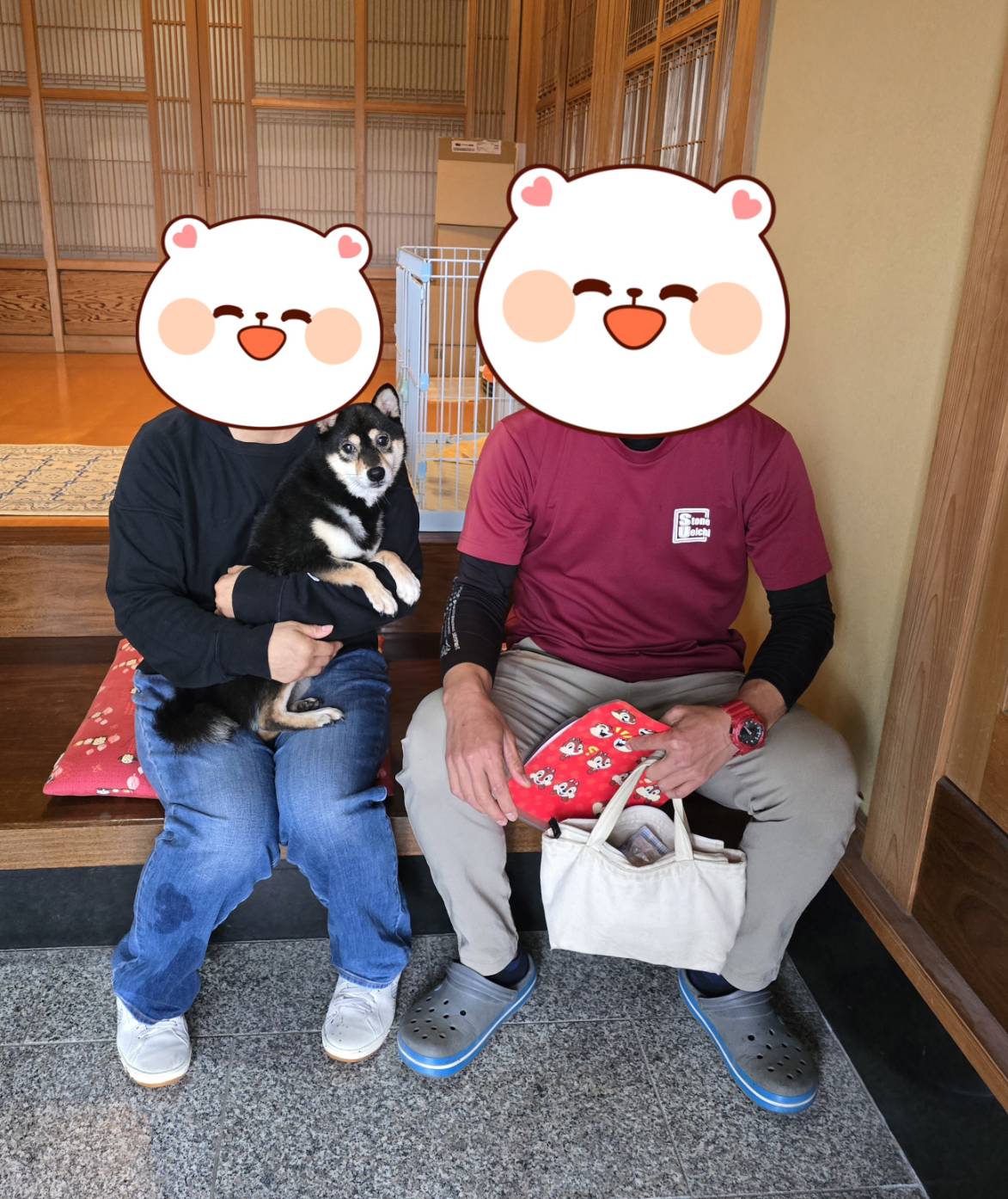 こちらの保護犬は里親様が決まりました