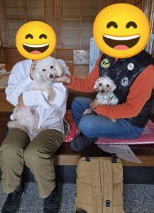 こちらの保護犬は里親様が決まりました