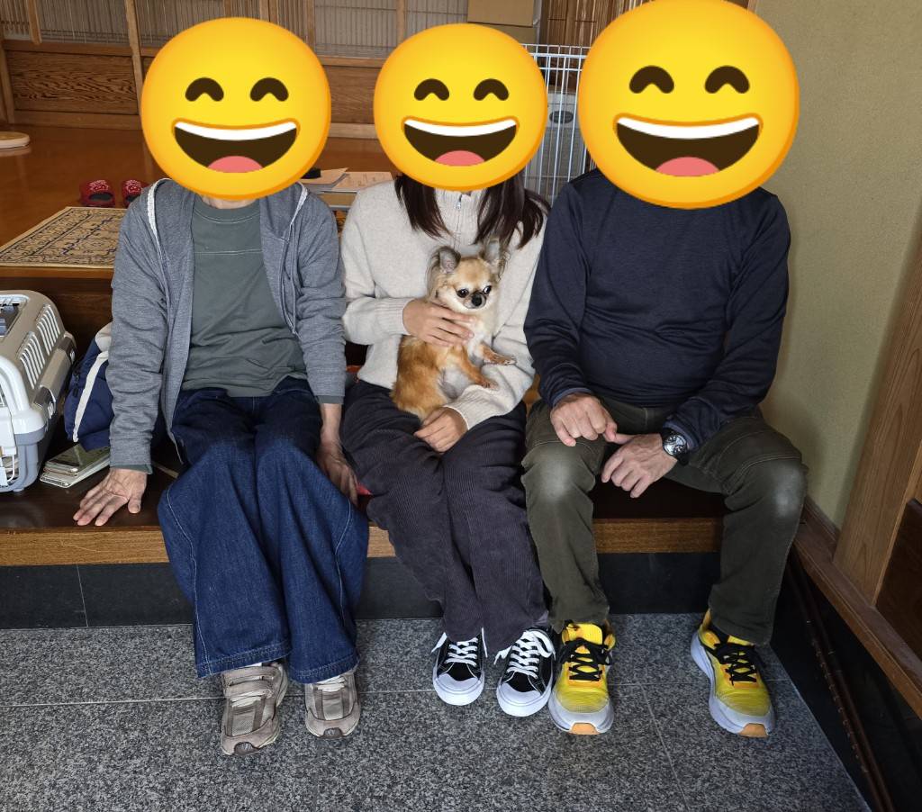 こちらの保護犬は里親様が決まりました