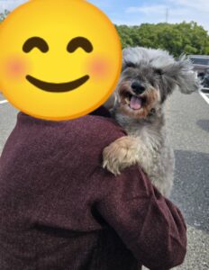 こちらの保護犬は里親様が決まりました