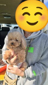 こちらの保護犬は里親様が決まりました