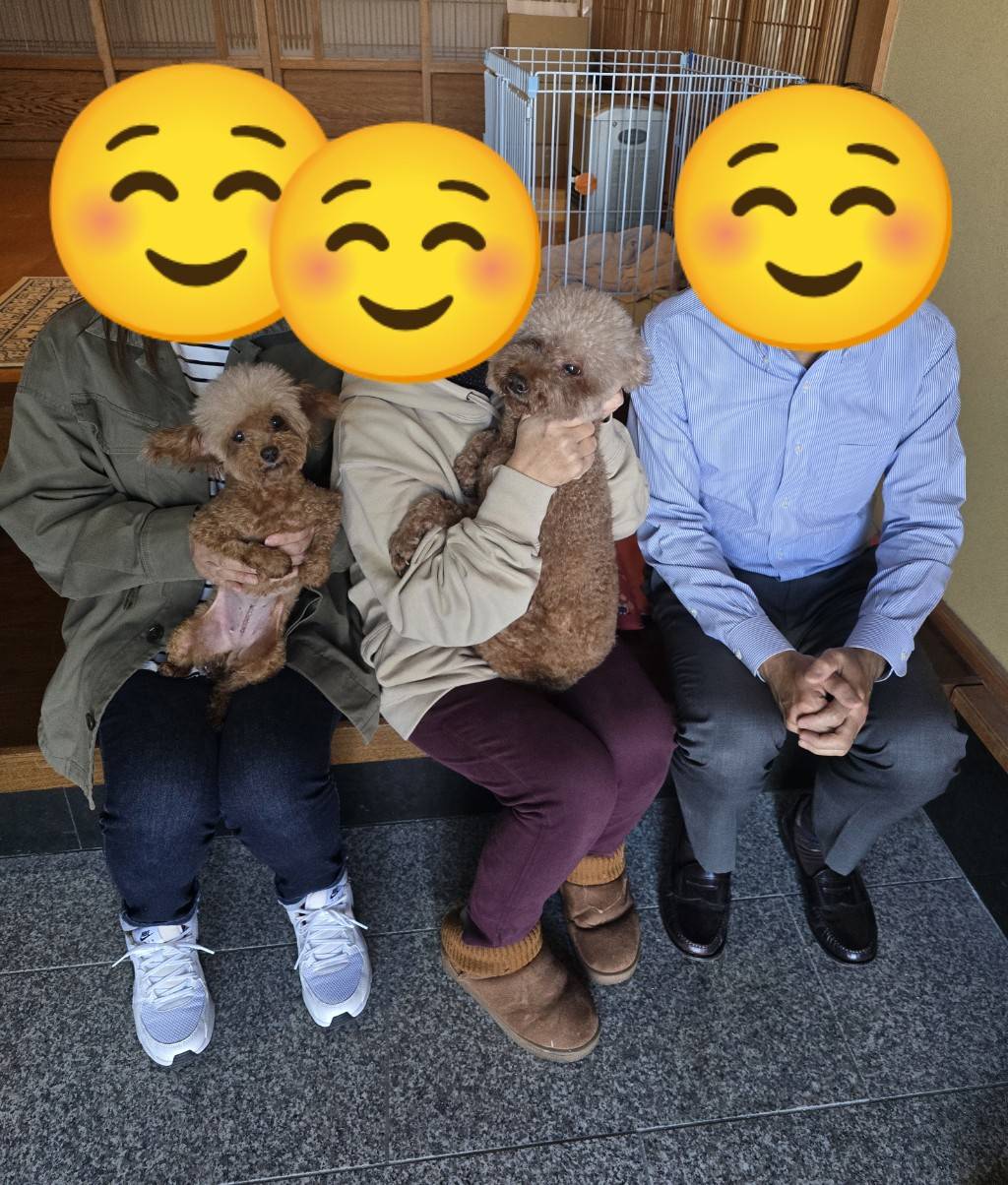 こちらの保護犬は里親様が決まりました