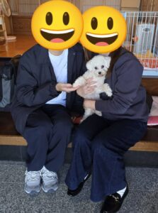 こちらの保護犬は里親様が決まりました