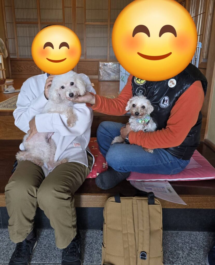 こちらの保護犬は里親様が決まりました