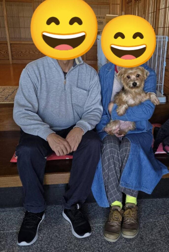 こちらの保護犬は里親様が決まりました