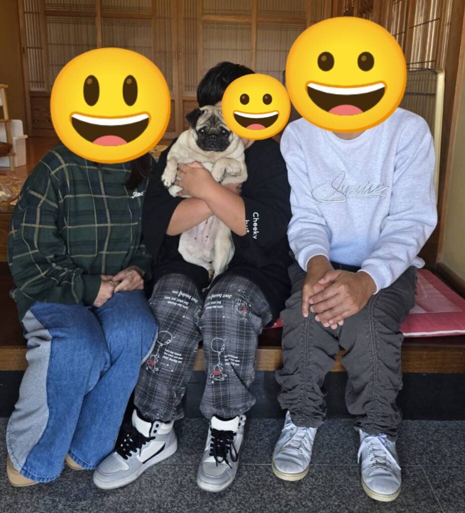 こちらの保護犬は里親様が決まりました