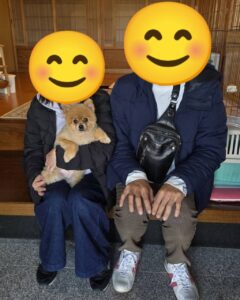 こちらの保護犬は里親様が決まりました