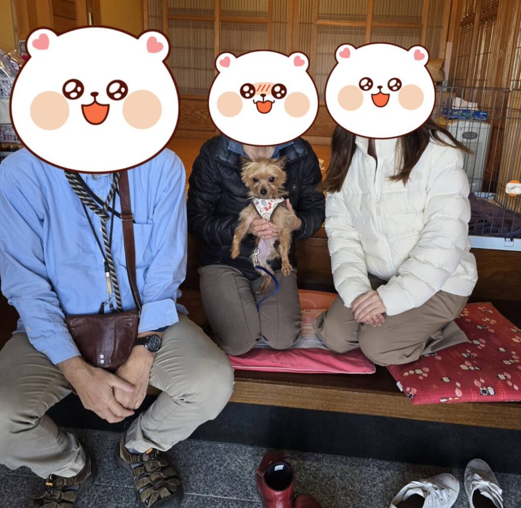 こちらの保護犬は里親様が決まりました