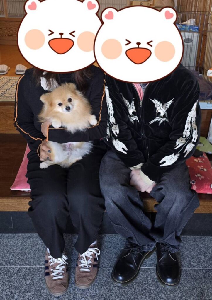 こちらの保護犬は里親様が決まりました