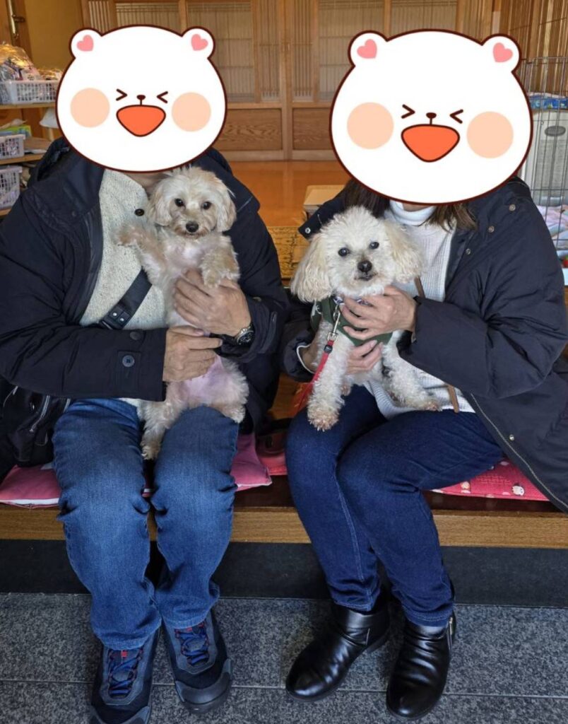 こちらの保護犬は里親様が決まりました