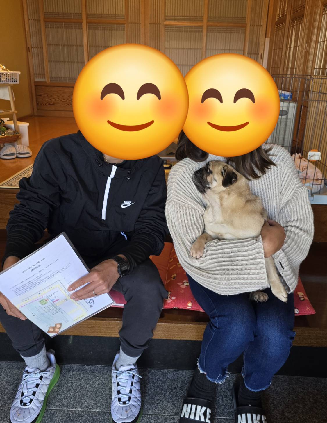 こちらの保護犬は里親様が決まりました
