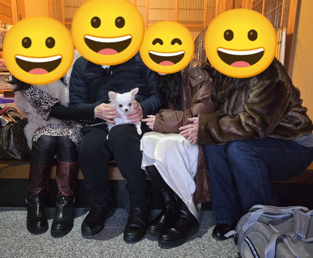 こちらの保護犬は里親様が決まりました