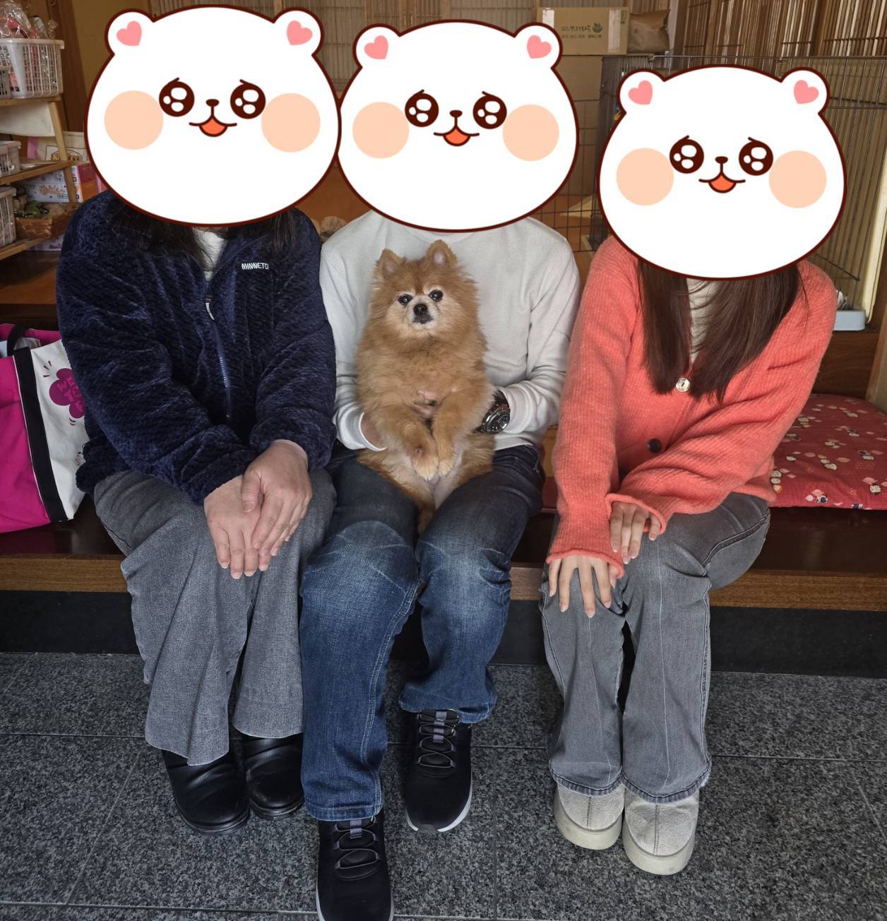 こちらの保護犬は里親様が決まりました