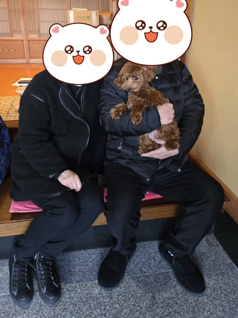 こちらの保護犬は里親様が決まりました