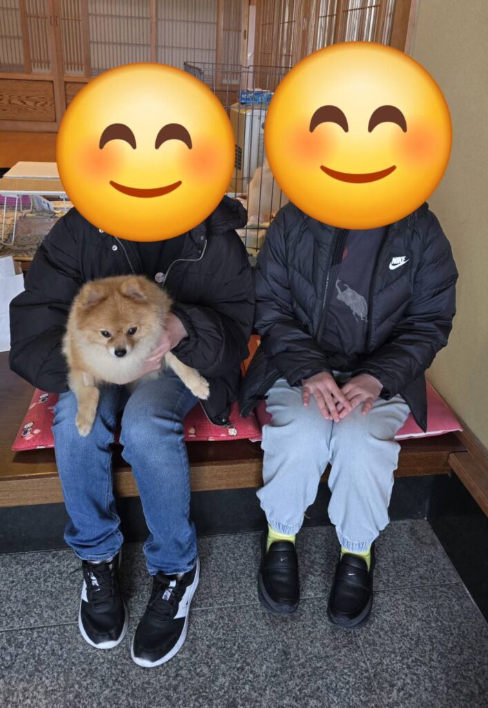 こちらの保護犬は里親様が決まりました