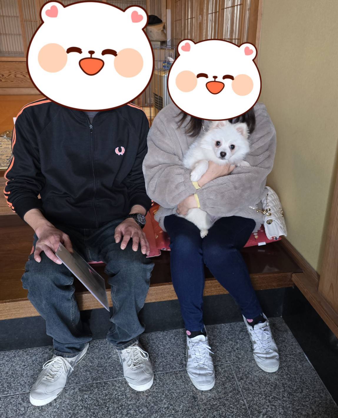 こちらの保護犬は里親様が決まりました