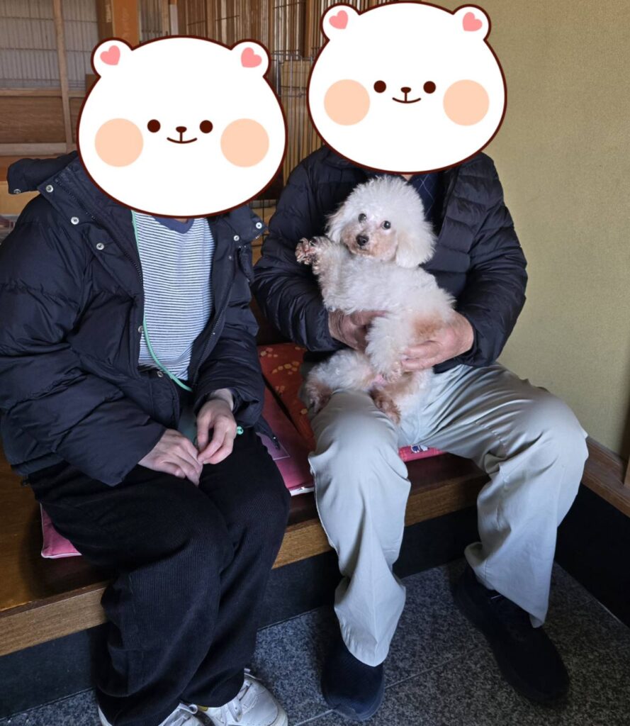 こちらの保護犬は里親様が決まりました